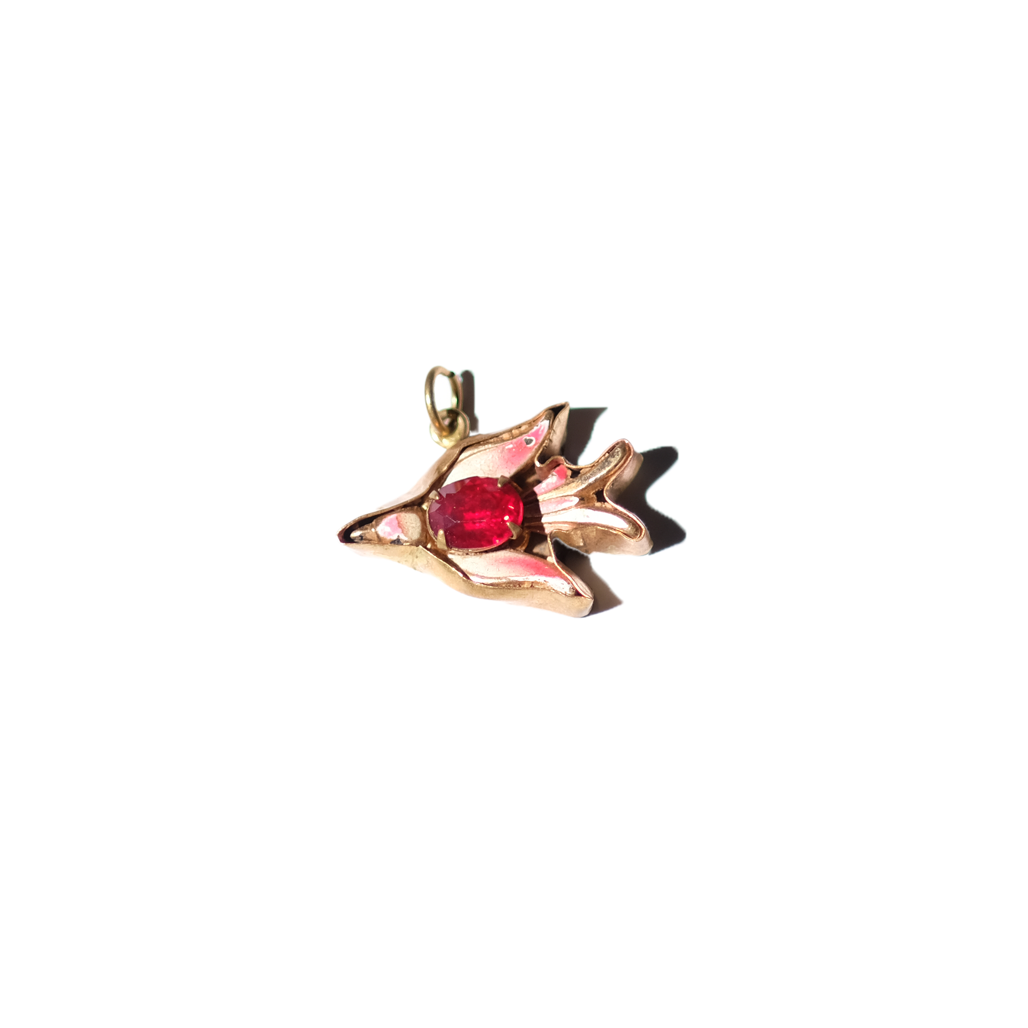 Jelly Belly Bird